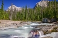 Athabaskan river Banff national park  - PhotoDune Item for Sale