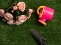 Spring flat lay with pink roses, pink and yellow watering can and black shovel  - PhotoDune Item for Sale