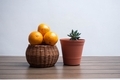 Basket with oranges and little succulent plant in a flowerpot  - PhotoDune Item for Sale