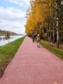 people ride the bike path in the park in autumn against the background of yellow foliage of trees - PhotoDune Item for Sale
