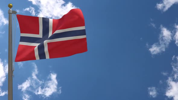 Norway Flag On Flagpole