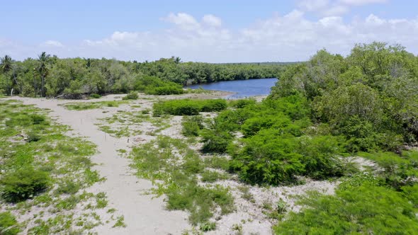 Mangroves at San Pedro de Macoris in Dominican Republic. Aerial forward