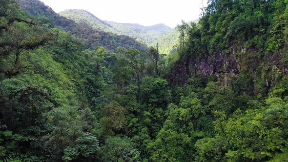 Flying Above Juan Castro Blanco National Park in Costa Rica