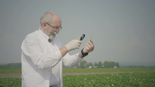 Agronomist researching pests