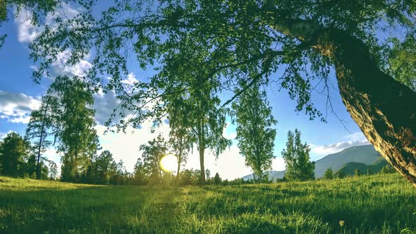 Mountain Meadow Time-lapse at the Summer or Autumn Time. Wild Nature and Rural Field. Motorised