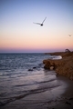 sea, wave, ocean, nature, background,water,beach , sunset sunshine, flying birds   - PhotoDune Item for Sale