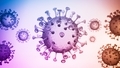 Corona virus COVID-19 virus SARS-CoV-2 concept - Coronavirus influenza - PhotoDune Item for Sale