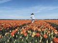 A girl walking in a red orange tulip field in Netherlands  - PhotoDune Item for Sale