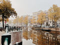 Autumn trees next to canal in Amsterdam  - PhotoDune Item for Sale