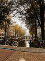 Autumn morning in Amsterdam  - PhotoDune Item for Sale