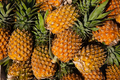 Pineapple background  - PhotoDune Item for Sale