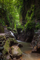 Monkey Forest Sanctuary, Ubud, Bali, Indonesia - PhotoDune Item for Sale