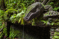 Giant Lizard in Sacred Monkey Forest Sanctuary, Ubud, Bali, Indonesia - PhotoDune Item for Sale