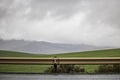 Roadside barrier with green field and mountains in the background on a overcast rainy day. - PhotoDune Item for Sale