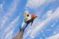 Guineafowl portraiture with wispy blue sky.  - PhotoDune Item for Sale