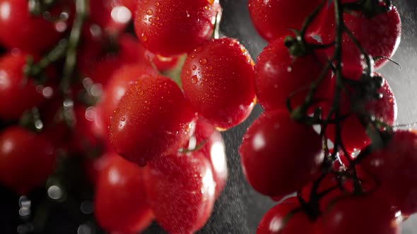 Cherry Tomatoes with Water Splash at a Dark Background