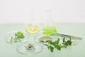 natural extracts in test tubes, plants in petri dishes and laboratory tweezers on a table. - PhotoDune Item for Sale