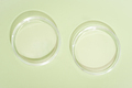 two empty petri dishes on green background. copy space. medical or pharmaceutical laboratory - PhotoDune Item for Sale