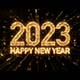 2023 New Year Countdown - VideoHive Item for Sale