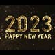 2023 New Year Countdown - VideoHive Item for Sale
