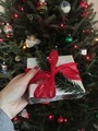 Perfectly wrapped Christmas gift by the tree  - PhotoDune Item for Sale