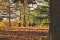 Autumn time, people in the park - PhotoDune Item for Sale