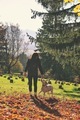 Autumn sunny day, women with dalmatian dog - PhotoDune Item for Sale