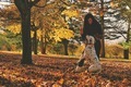 Autumn sunny day, dakmatian dog and women - PhotoDune Item for Sale