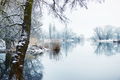 Winter landscape on Havel river. water reflection of tries in the water. (Germany) - PhotoDune Item for Sale