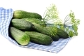 cucumbers and dill spice on blue white textile. isolated white background - PhotoDune Item for Sale