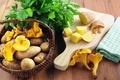 golden chanterelle mushrooms, potato and fresh parsley ingredients to cook a meal. - PhotoDune Item for Sale