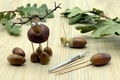creating deer made of acorn and chestnut figures in autumn time. childhood tinker. - PhotoDune Item for Sale