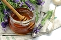Lavender honey in a glass with flower pot of Lavandula stoechas and antique silverware. homemade - PhotoDune Item for Sale