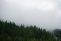 Foggy weather - PhotoDune Item for Sale