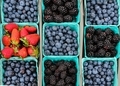 Berries at the Framer's market - PhotoDune Item for Sale