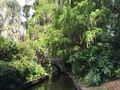 Venetian Canal north to Lake Maitland in Winter Park FL - PhotoDune Item for Sale