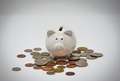 Piggy bank among coins - PhotoDune Item for Sale