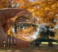 Beautiful yellow Autumn tree reflected in glass lens ball  - PhotoDune Item for Sale