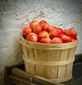 Bushel of red apples next to a stone wall  - PhotoDune Item for Sale