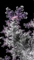 Beautiful abstract design colored purple and silver against a black background  - PhotoDune Item for Sale