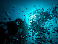 Wreck diving art - PhotoDune Item for Sale