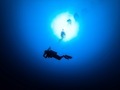 Deep diver in blue water  - PhotoDune Item for Sale