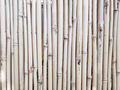 Bamboo background - PhotoDune Item for Sale