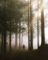 A person between misty fog - PhotoDune Item for Sale