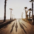 Friends having a good time together near the beach with palm trees  - PhotoDune Item for Sale