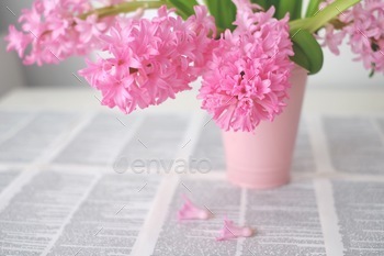 Pink hyacinths in a light pink vase on book pages