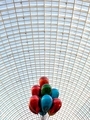 view of a gift of colorful balloons against the background of a metal structure of a glass roof - PhotoDune Item for Sale