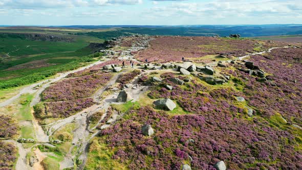 Beautiful Heather in the Peak District National Park  Aerial View  Travel Photography