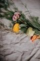 flower - PhotoDune Item for Sale