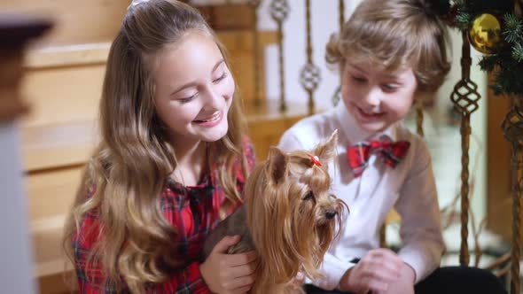 Brunette Little Girl Caressing Yorkshire Terrier with Cute Boy Sitting on Stairs at Background